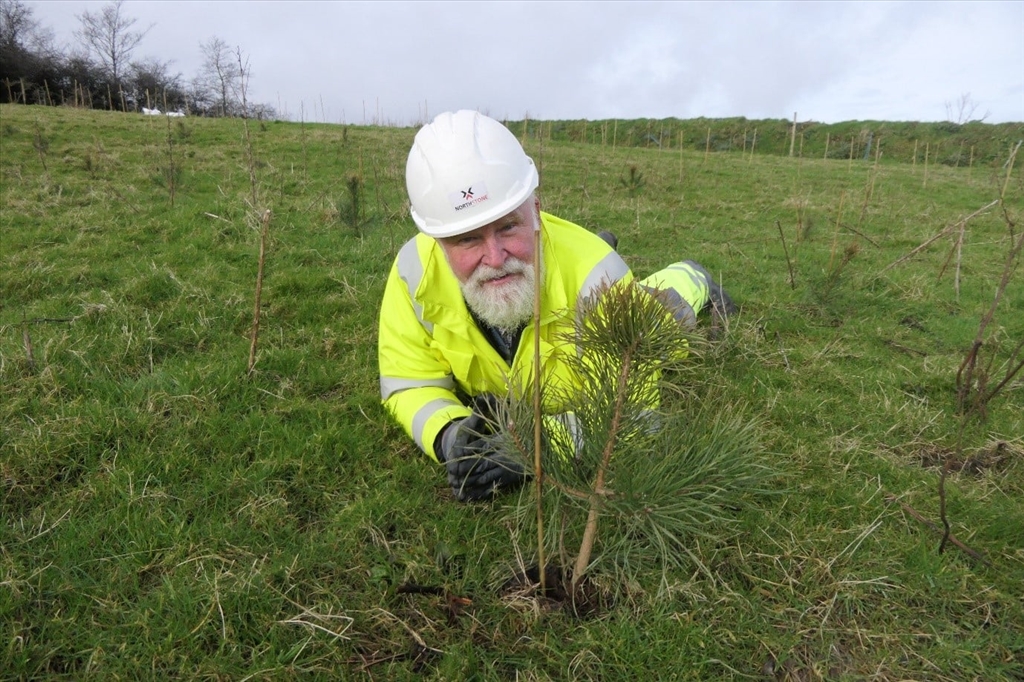 Croaghan Quarry Trees Planted